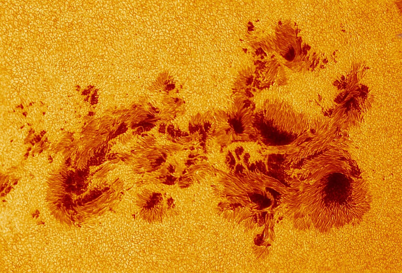 AR3664: the largest sunspot region of the current solar cycle