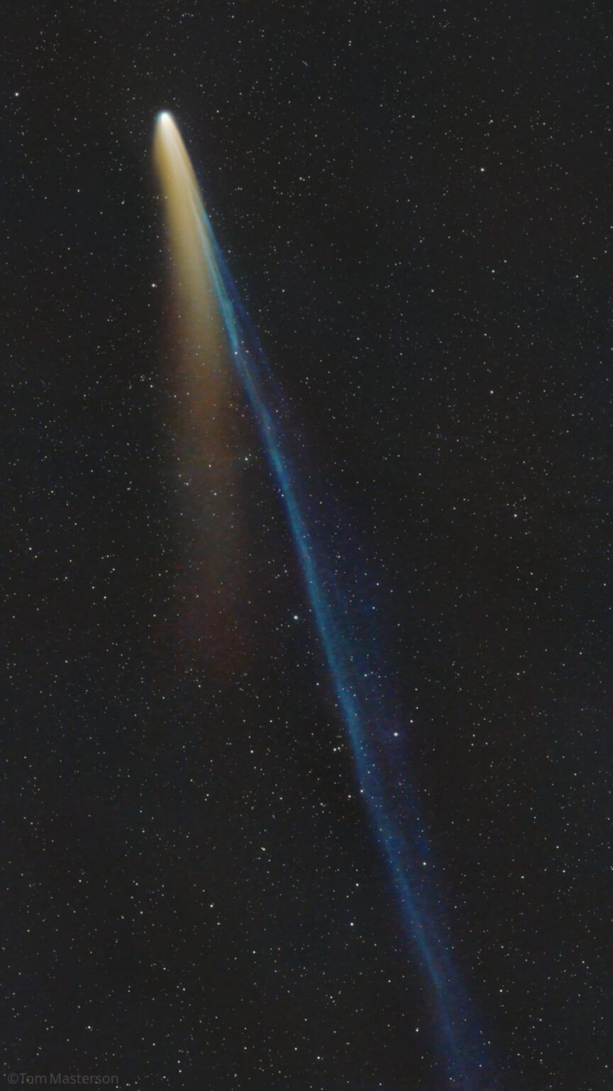 Comet C/2025 A6 (Lemmon) A Day After Perihelion 11/9/2025