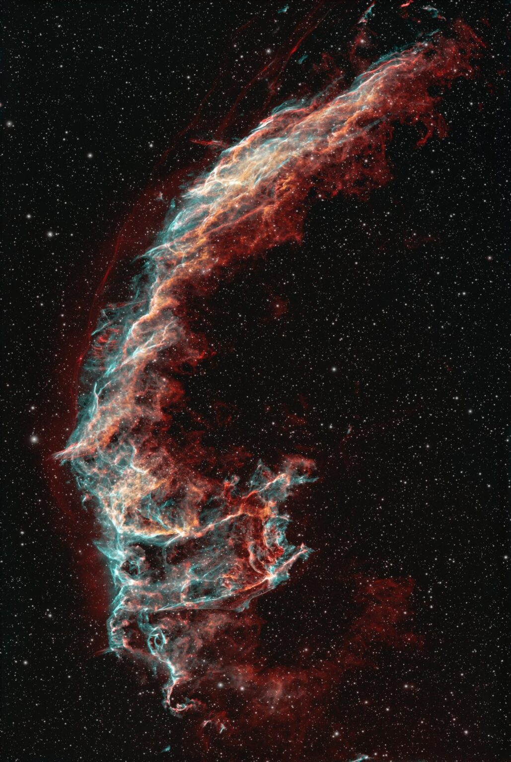 The Xenomorph (The Bat Nebula IC1340)