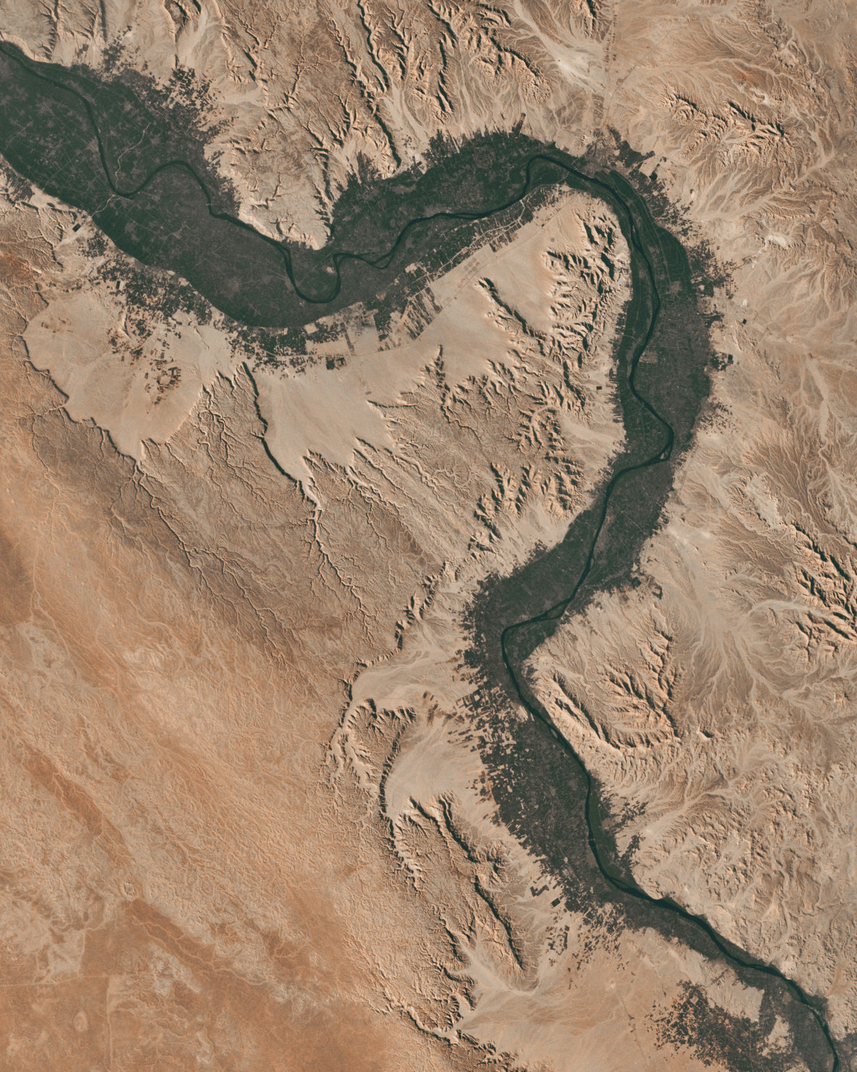 TUBIN Tuesday: Life Along the Nile [OS] [OC]