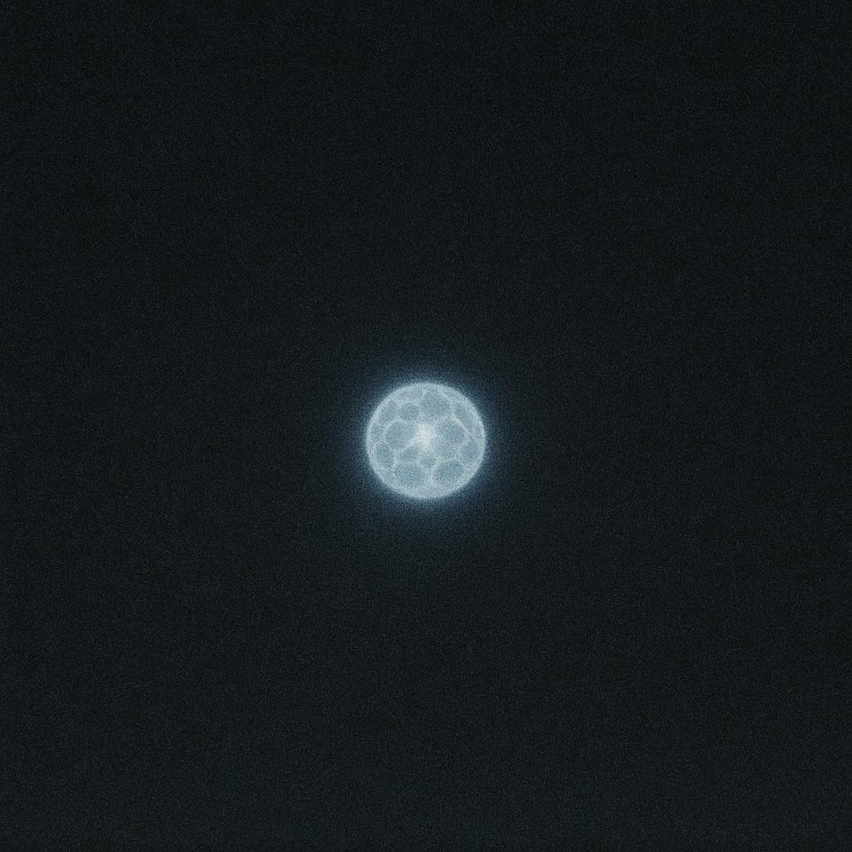 I may have just seen the same UAP that was spotted on ABC7