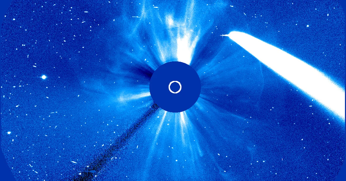SOHO has seen some of the most famous comets of recent years, including C/2023 A3 Tsuchinshan-ATLAS, which it observed on 9 October 2024. Credit: NASA/SOHO