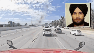 ‘Criminal illegal aliens’: White House flags 'disturbing pattern' after Indian trucker crash in California; calls out 'serious gaps'