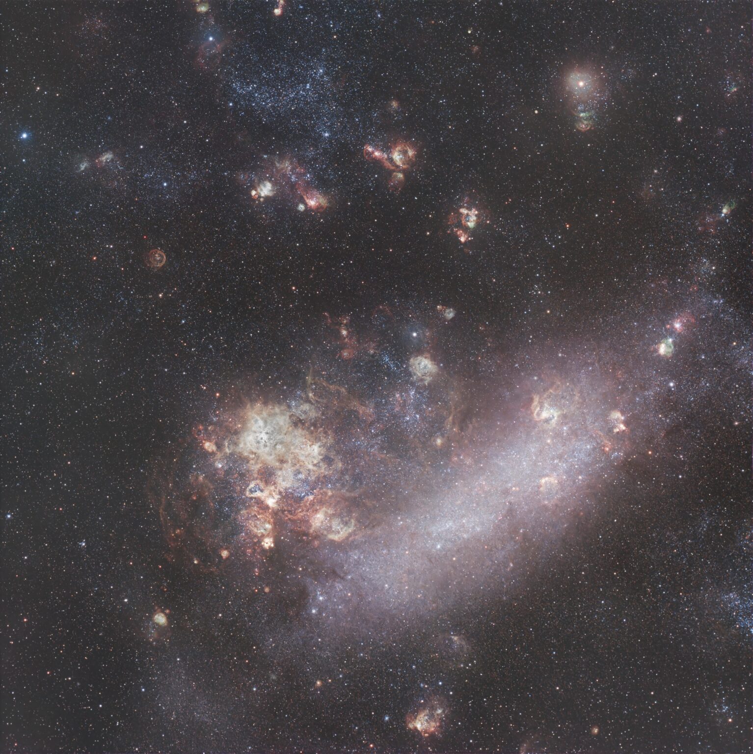 The Large Magellanic Cloud (LMC)