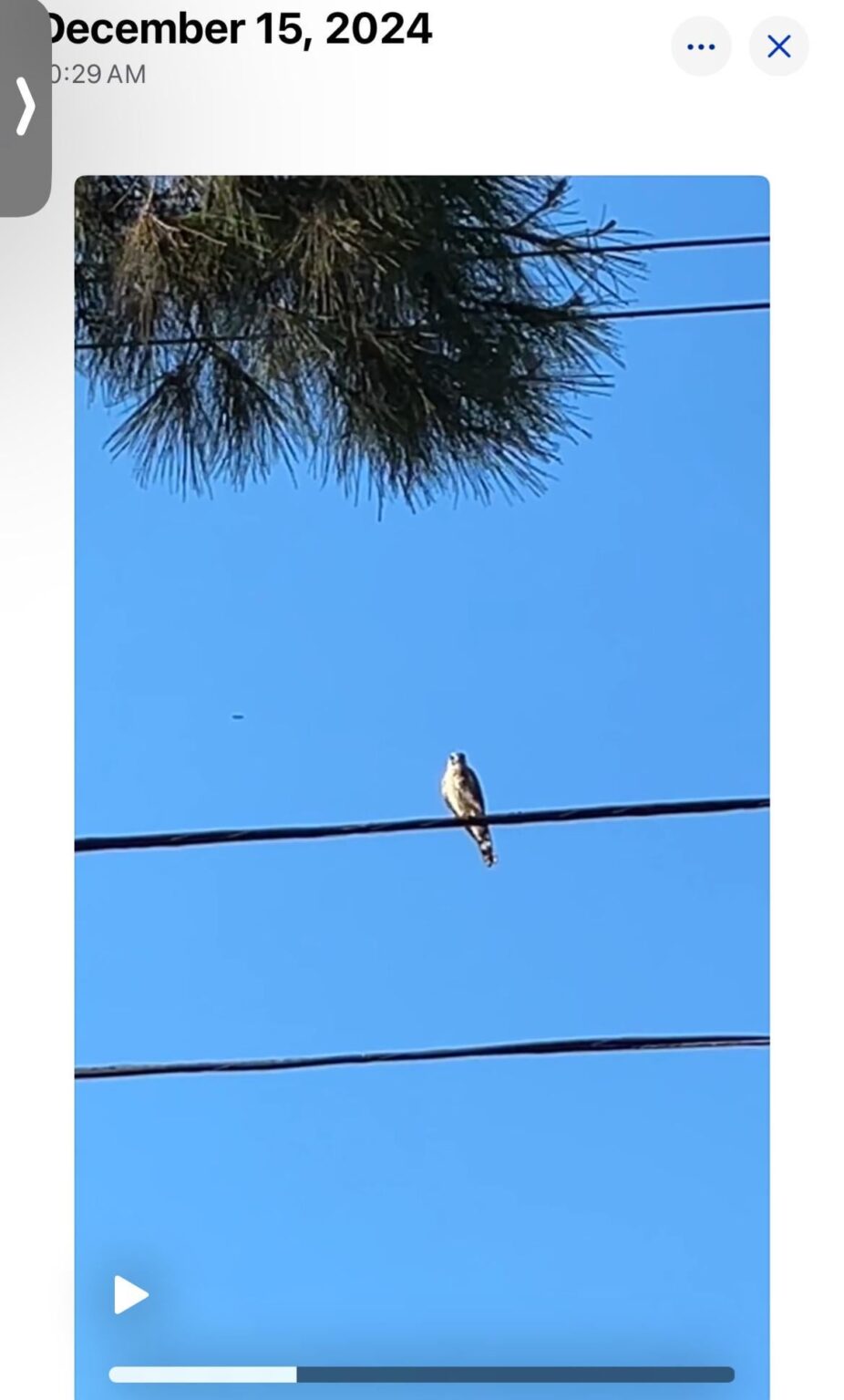 I strongly believe this was a flying saucer