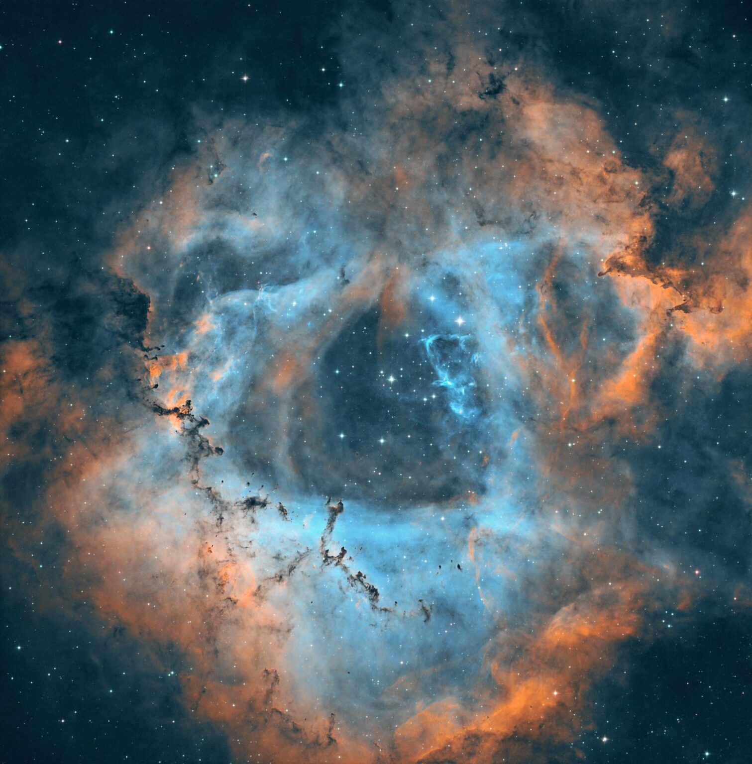 The Rosette