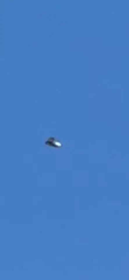 Can someone tell what the hell this is?