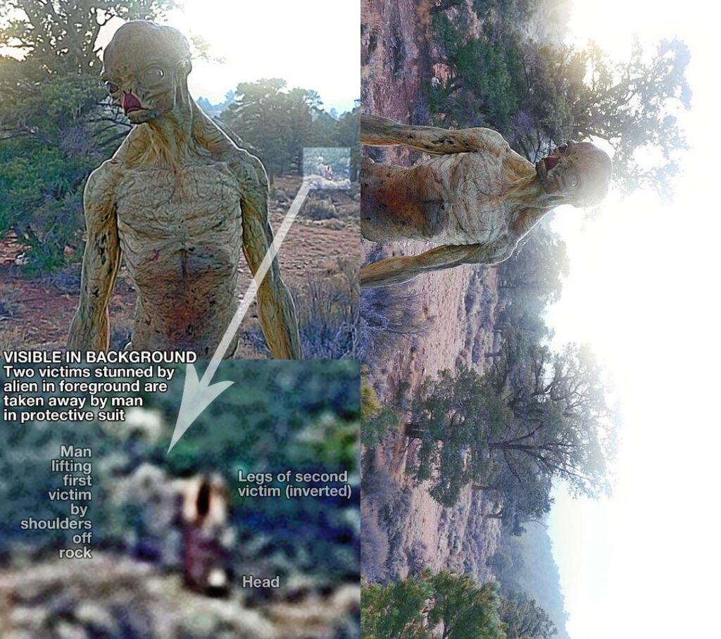 (Serious) Is this the infamous “4Chan Alien”? (Serious) Is this the infamous “4Chan Alien”?