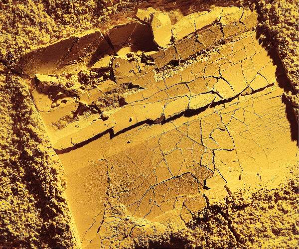 Solein protein tech moves toward ISS zero-gravity pilot project