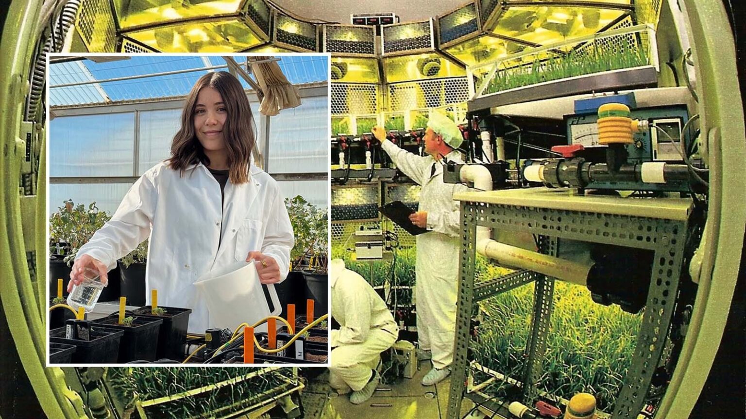 Cowboy State Daily logo