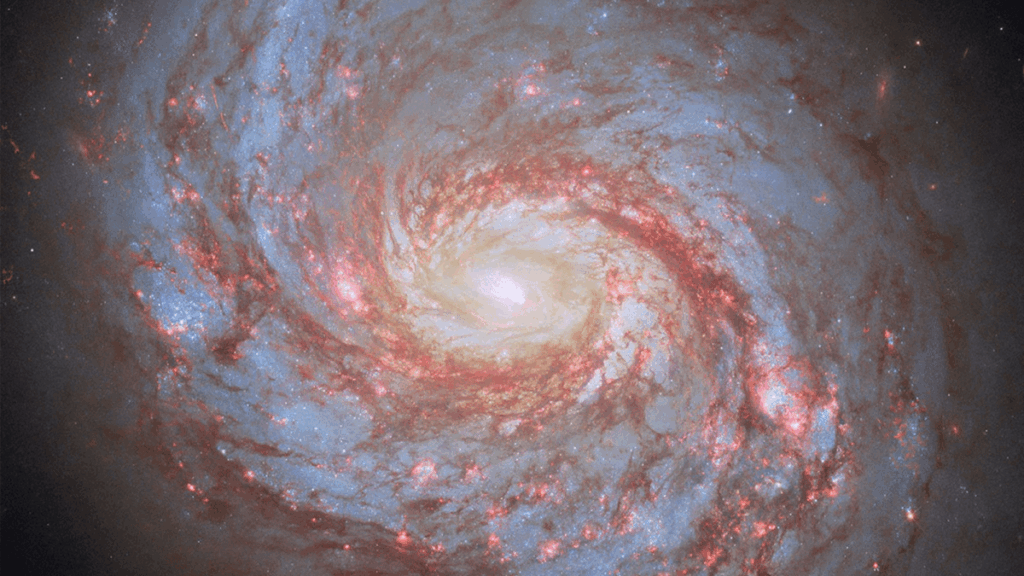 Is the universe really infinite? Astrophysicists explain.