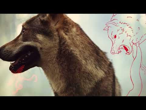 Ella Marie - Gumpe [Folk pop]