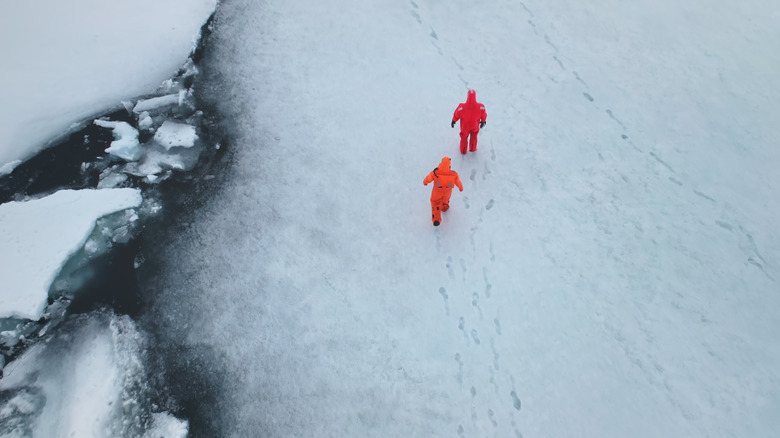 researchers walking in the Antarctic