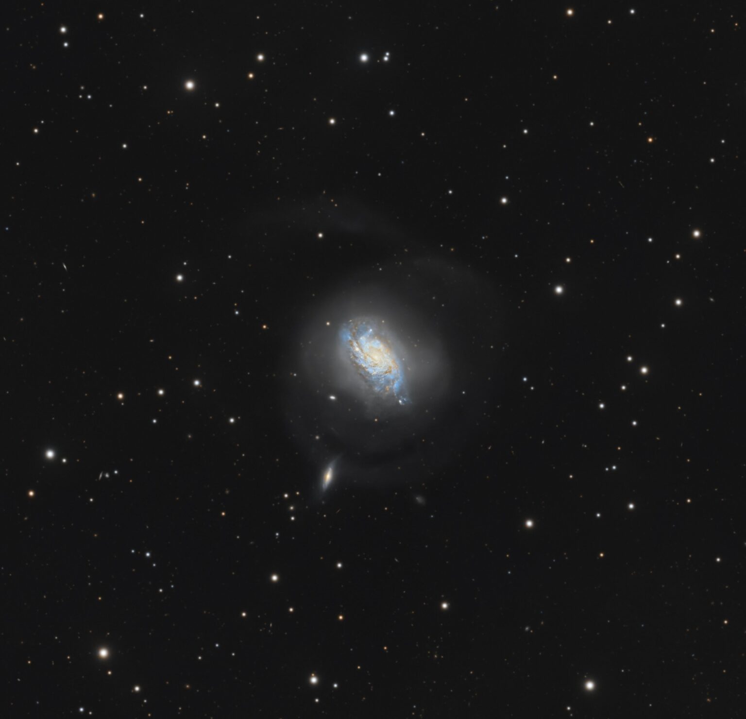 Swirling Tides of NGC 1084