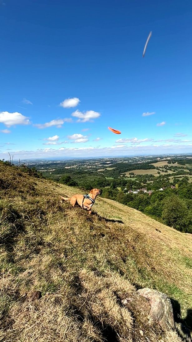 A small, unknown object flying through the air at high speed. 