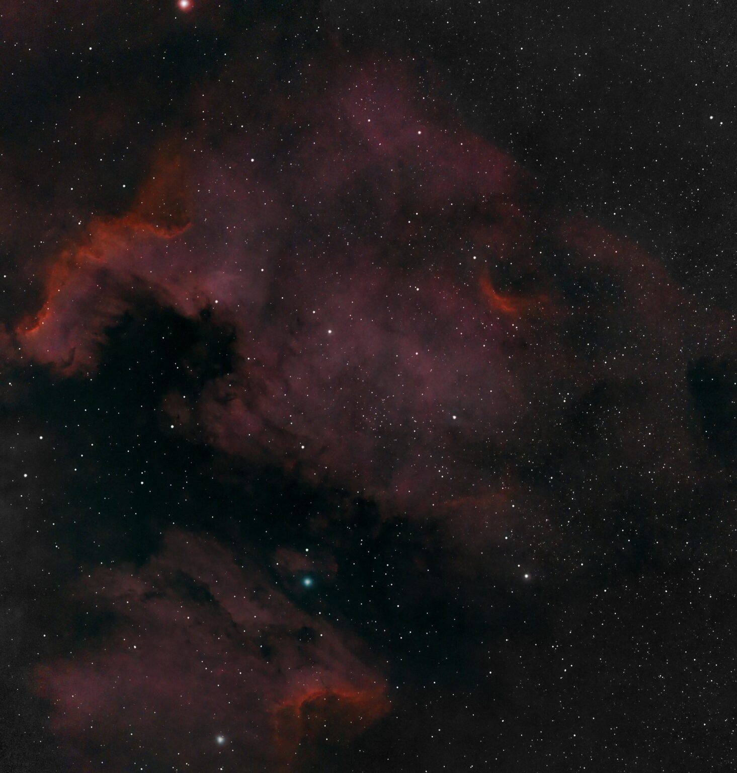 C 20 (North America Nebula) and IC 5070 (Pelican Nebula)