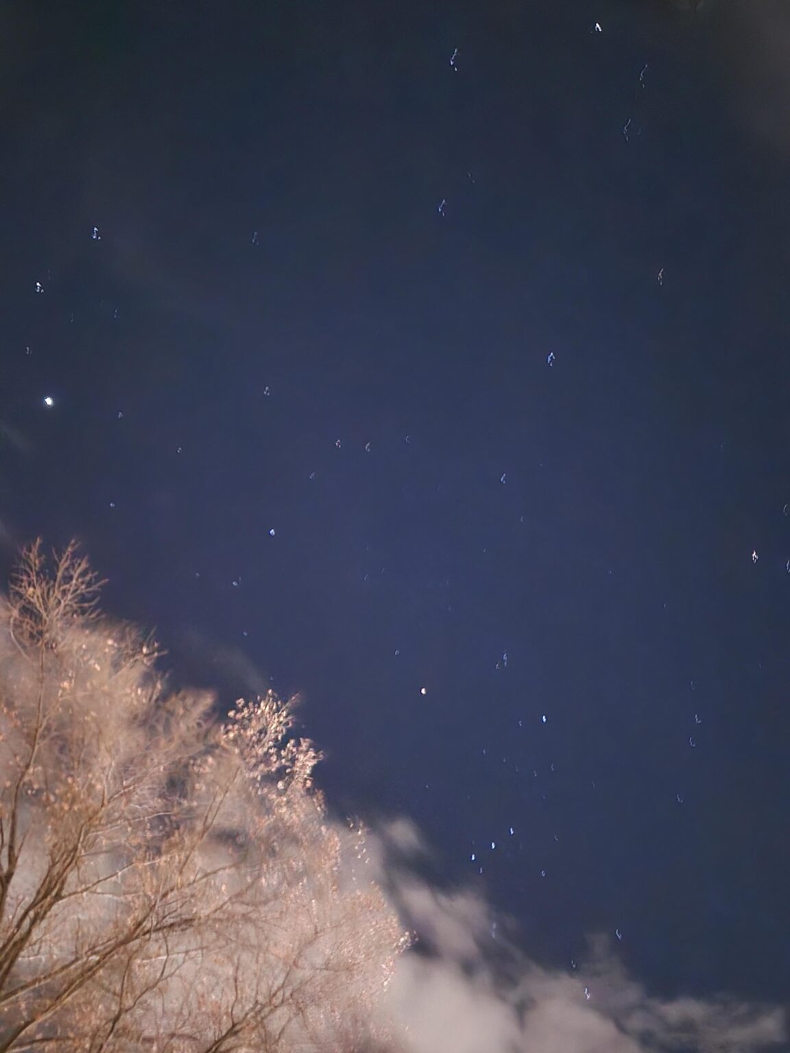 Any star needs please confirm this, is this orions belt? Erie pa December, 19th 2025, 12:44am