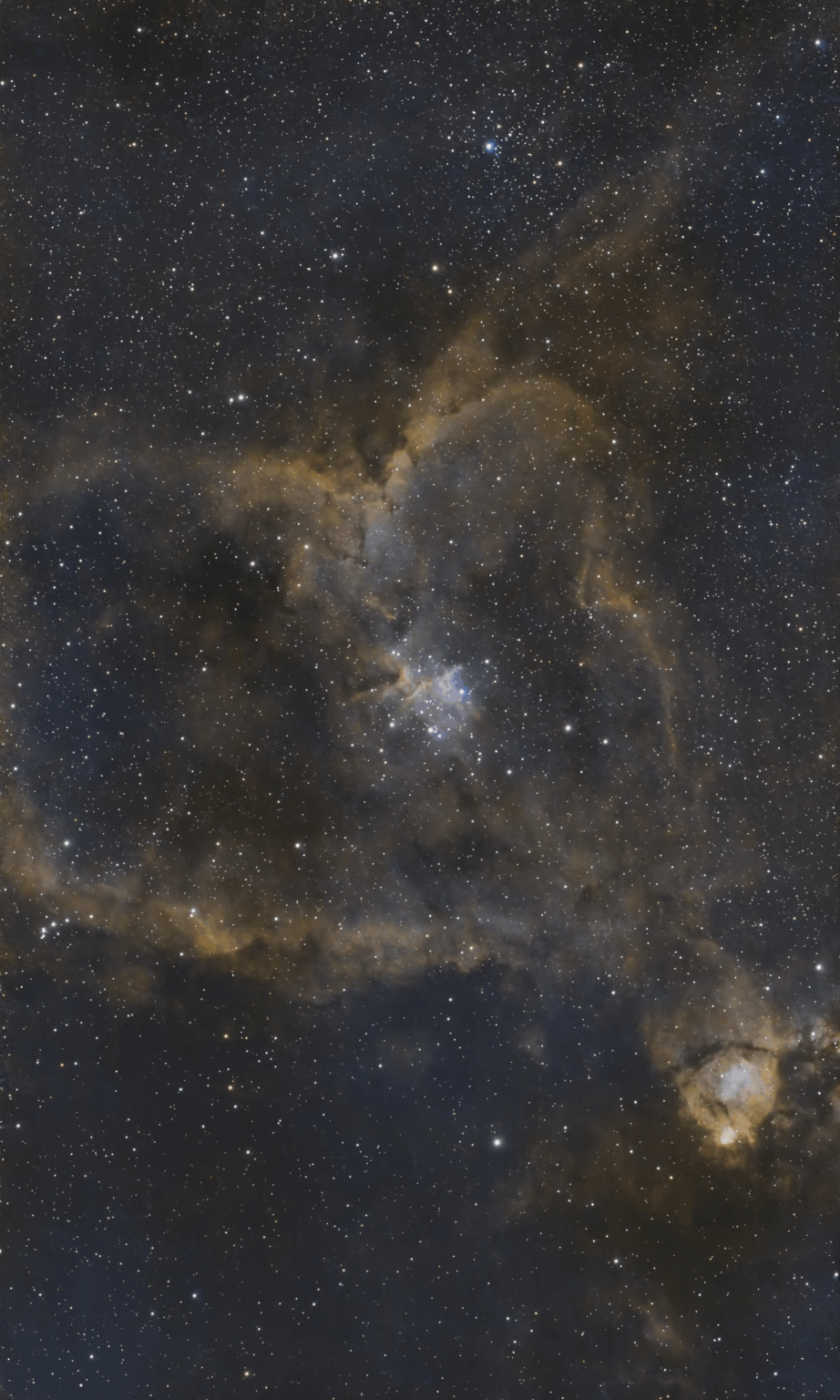 Heart Nebula (IC 1805)