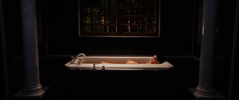 Animalia