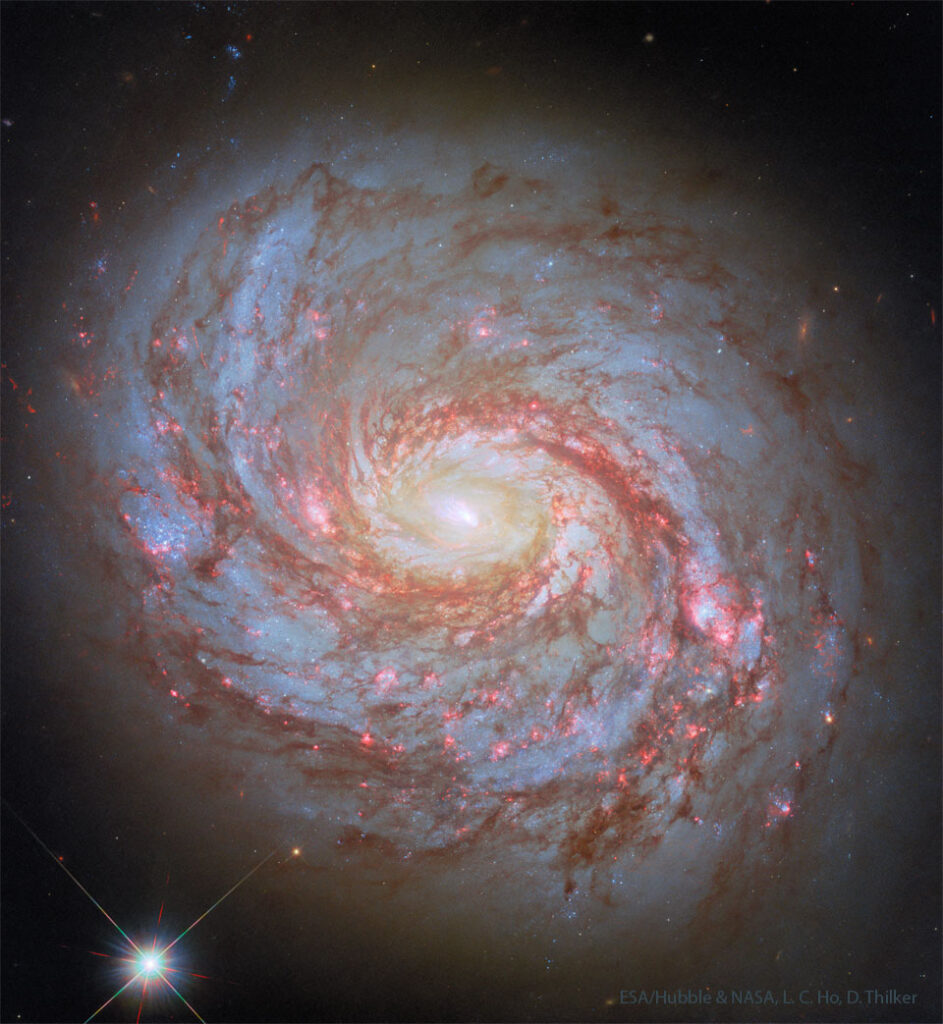 Spiral Galaxy with an Active Center