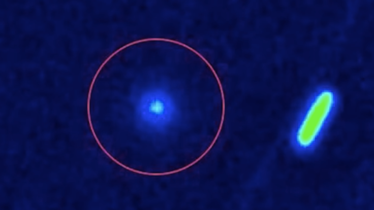 3I/ATLAS and C/2025 V1