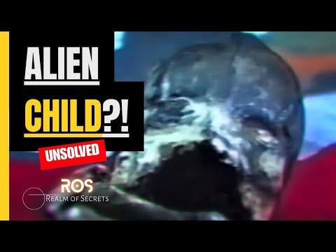 In 1996 a Russian police officer filmed the remains of a strange creature. Some believe it could have been an alien and later it was claimed that the remains were taken by a UFO. Have you heard of this case, and what do you think guys?