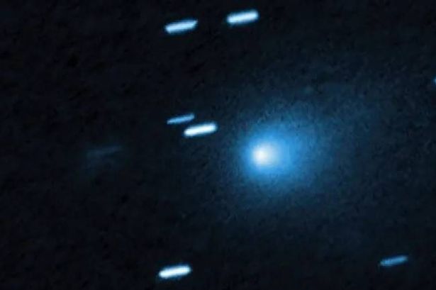Harvard's Avi Loeb Warns Comet's Luminosity Resembles Controlled Emission Pattern
