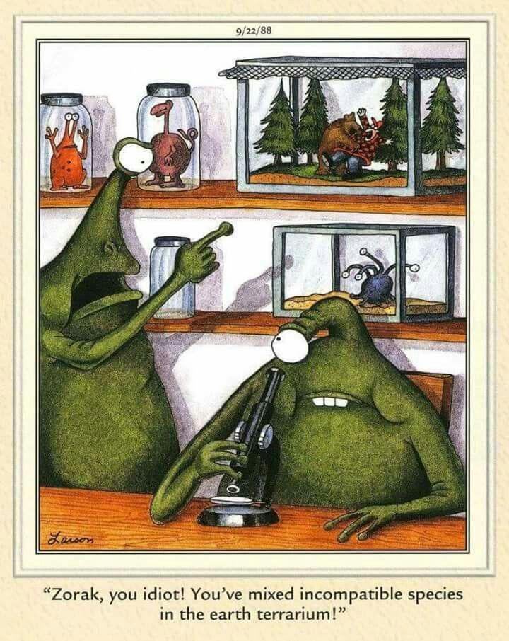 What Went Wrong With Earth.