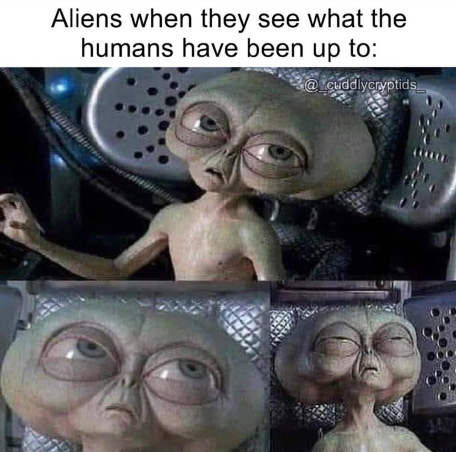 If aliens were real and disclosure happened, imagine the memes we'd get. It would probably be the only real, tangible difference in most people's lives.