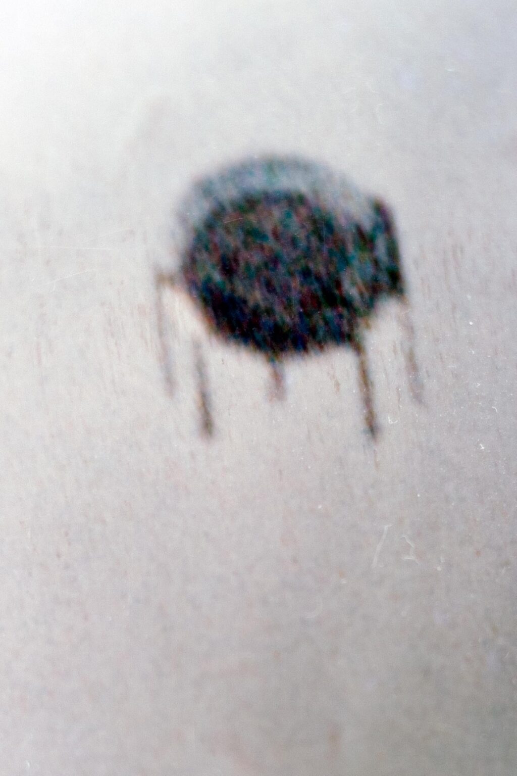 Portugal UFO: analysis of archive negatives