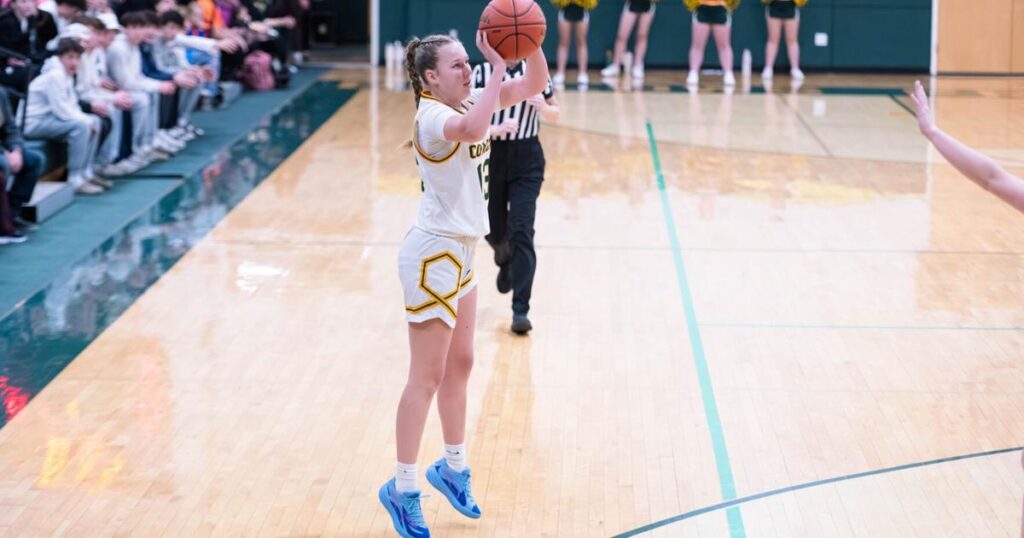 BFA-St. Albans Comets triumph over MVU Thunderbirds