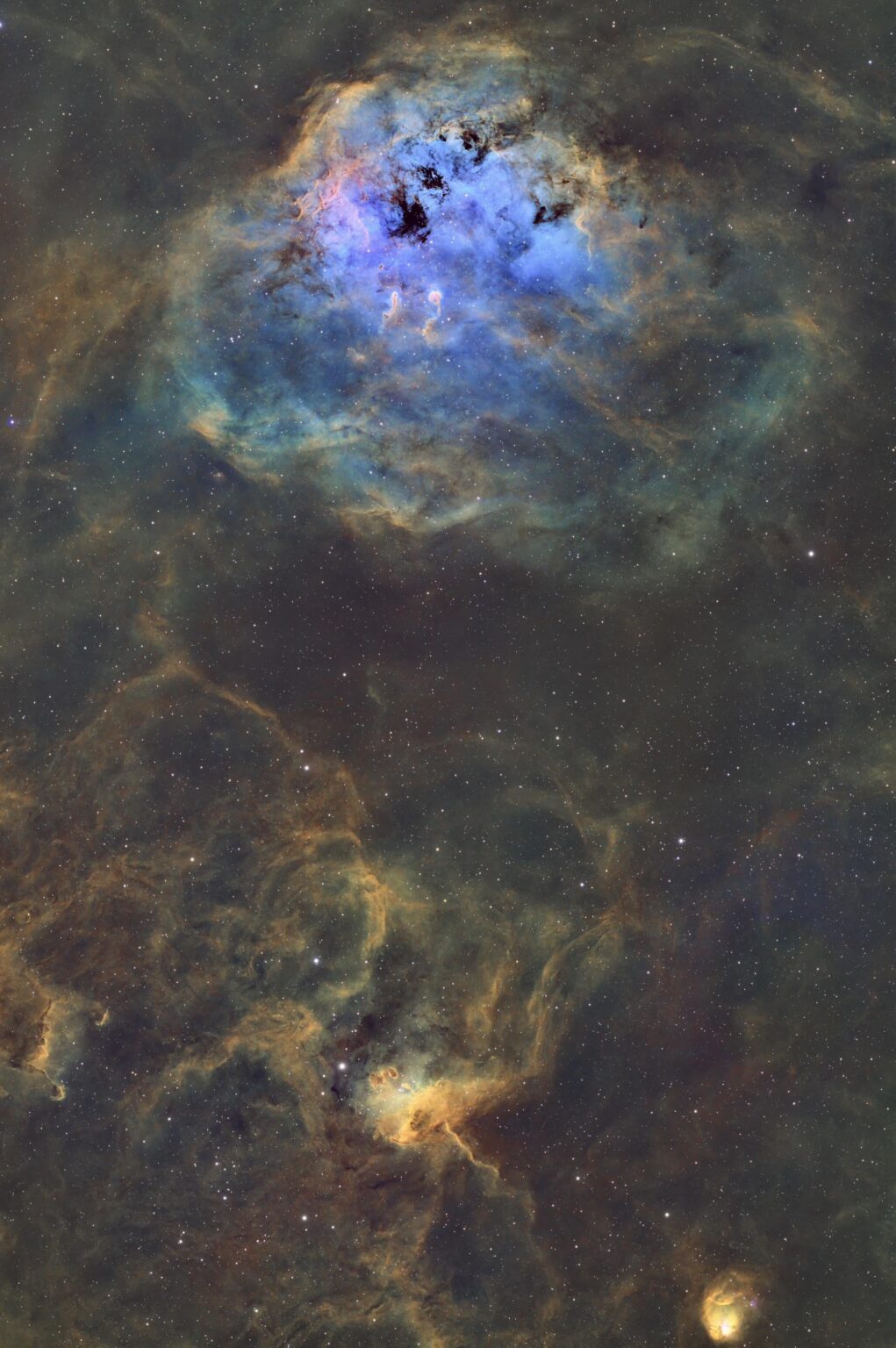 Tadpole Nebula SHO