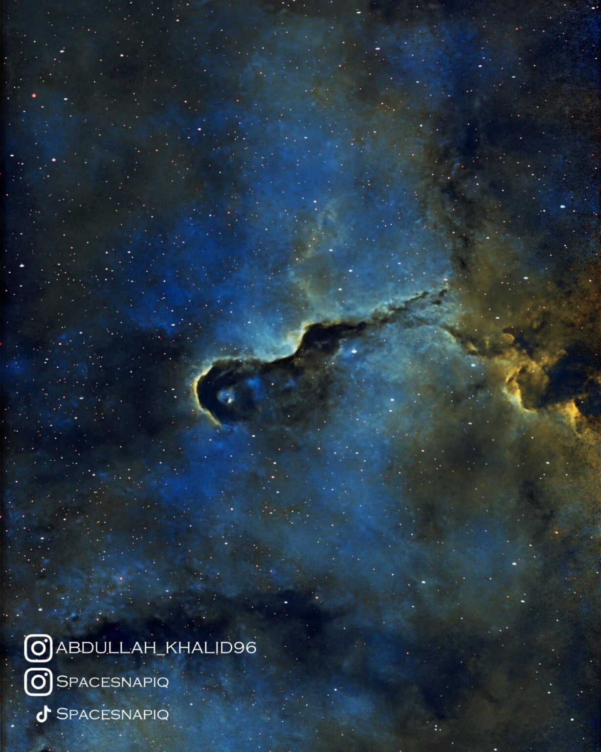 The Elephant Trunk Nebula
