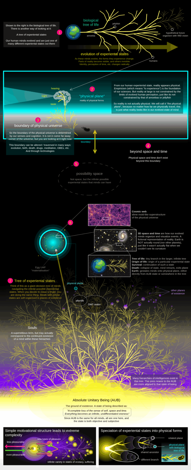 Interdimensionals, DMT-entities, angels. Garry Nolan said the intelligence community thinks the greys are avatars, intermediaries. He was threatened with death. Eric Davis: "these craft behave like a spiritual entity". Vallee: "there are undisclosed experiments on how to communicate with aliens"
