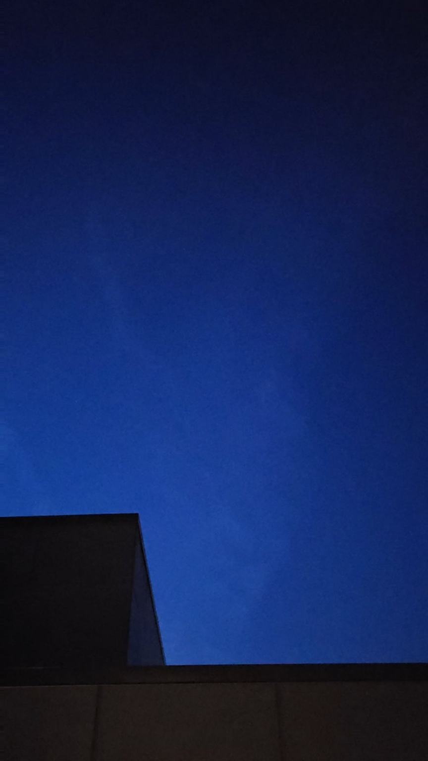 Fast object moves across the sky before plane.