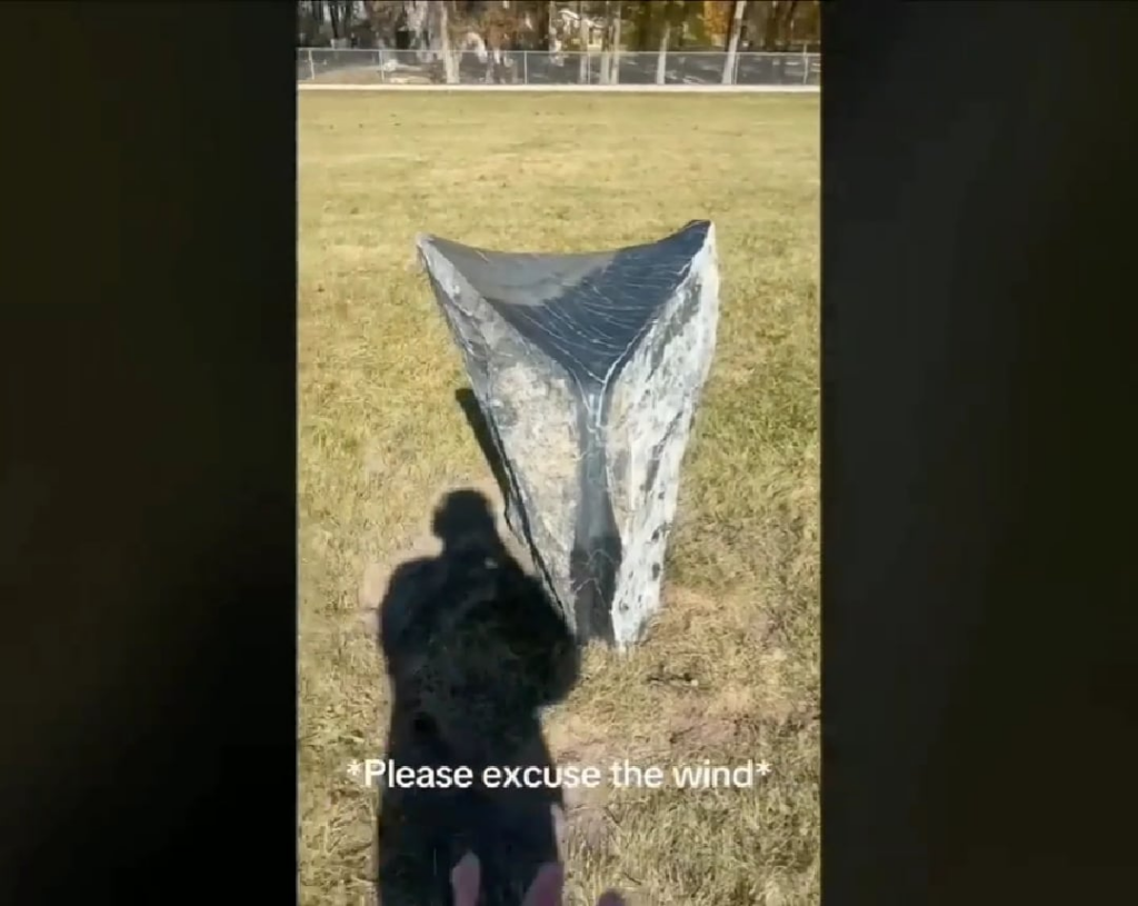 Strange Stone In Park!