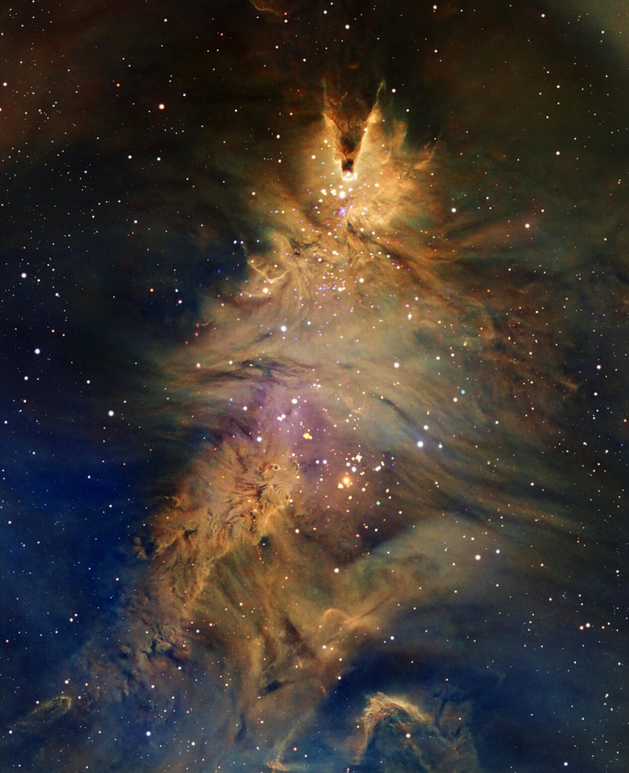 A Celestial Merry Christmas from Chandra - NGC 2264 - 12-22-2025