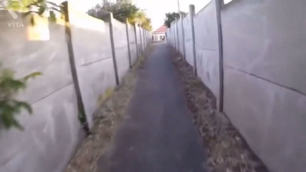 Strange Creature Jumps Out!