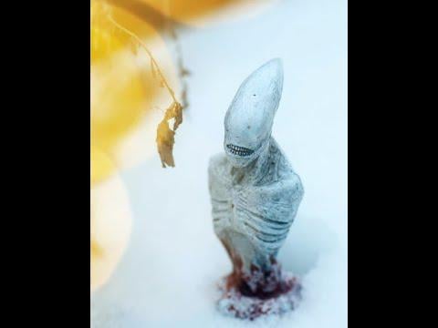 Why I chase Alien Beings