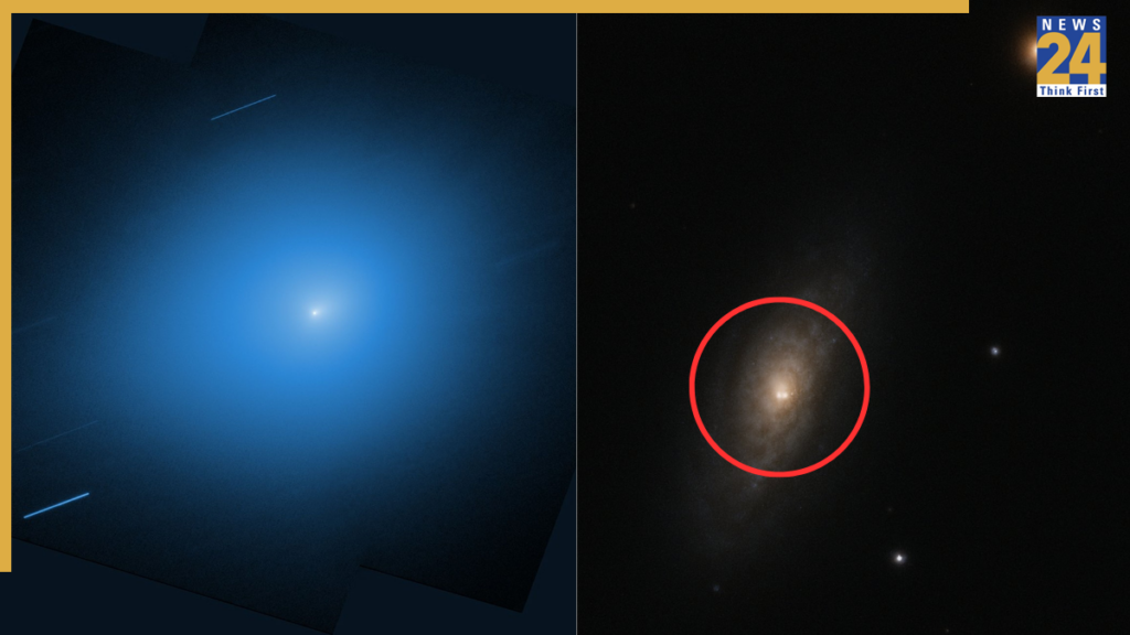 Latest Images Unveiled Before Its Closest Approach to Earth News24 Latest Images Unveiled Before Its Closest Approach to Earth News24 -
