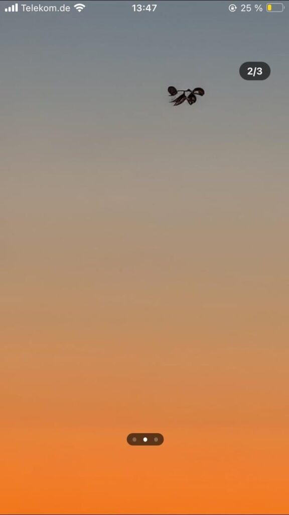 What do you think of that ?