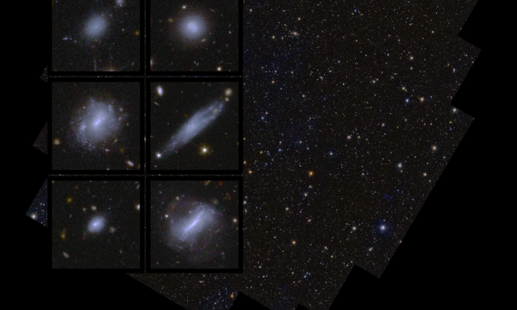 Two New Research Networks