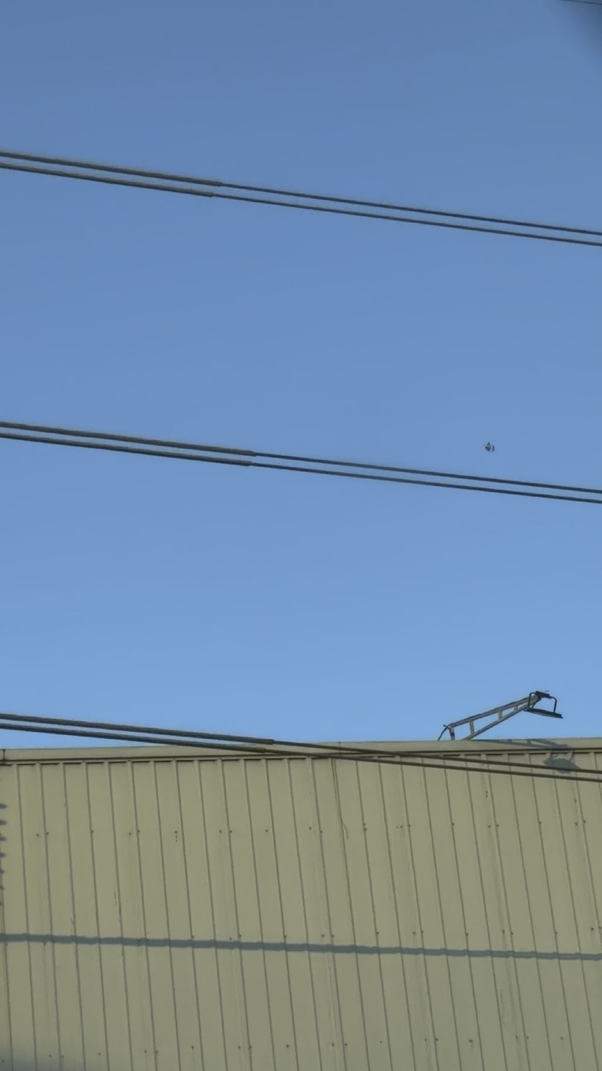 Spotted north of Phuket 20/12 - any idea what this is?