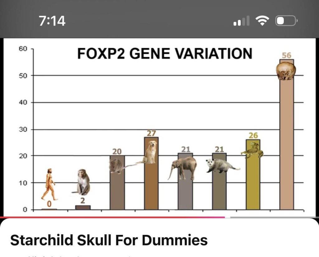 proof the starchild skull is a alien theres false claims it has been debunked