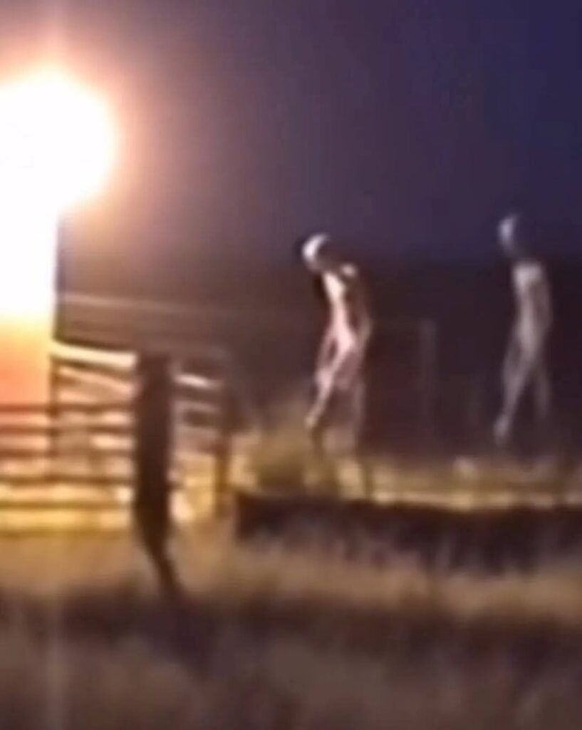 More info on these photos?