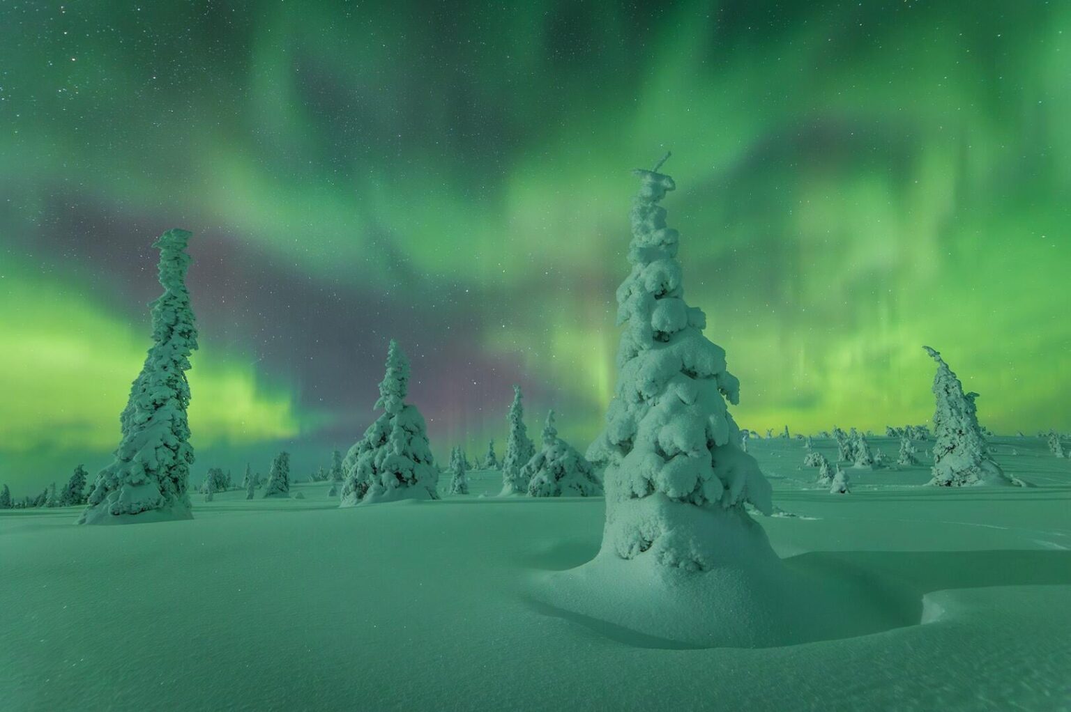 The 2025 Northern Lights Photographer of the Year has just been published