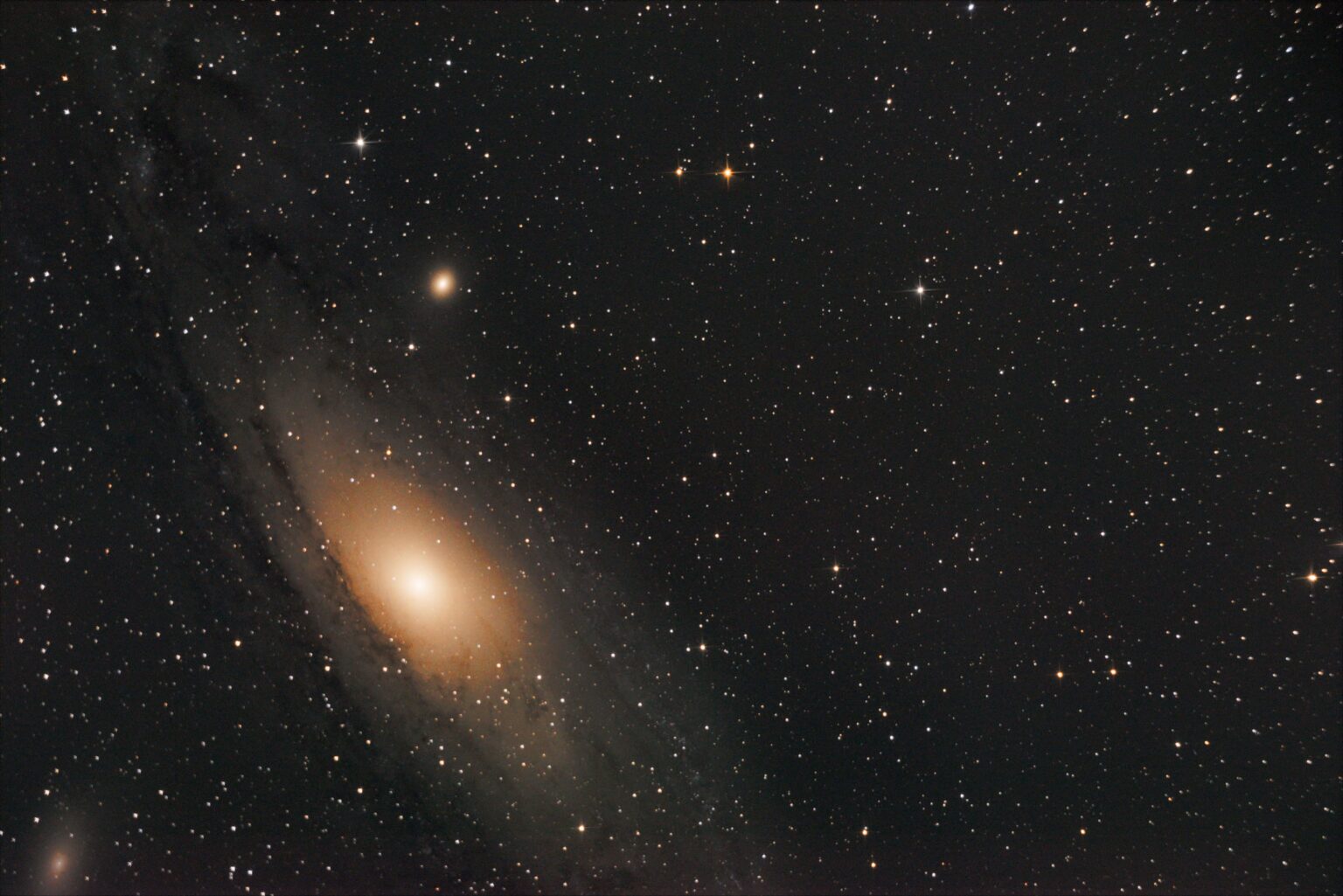 M31