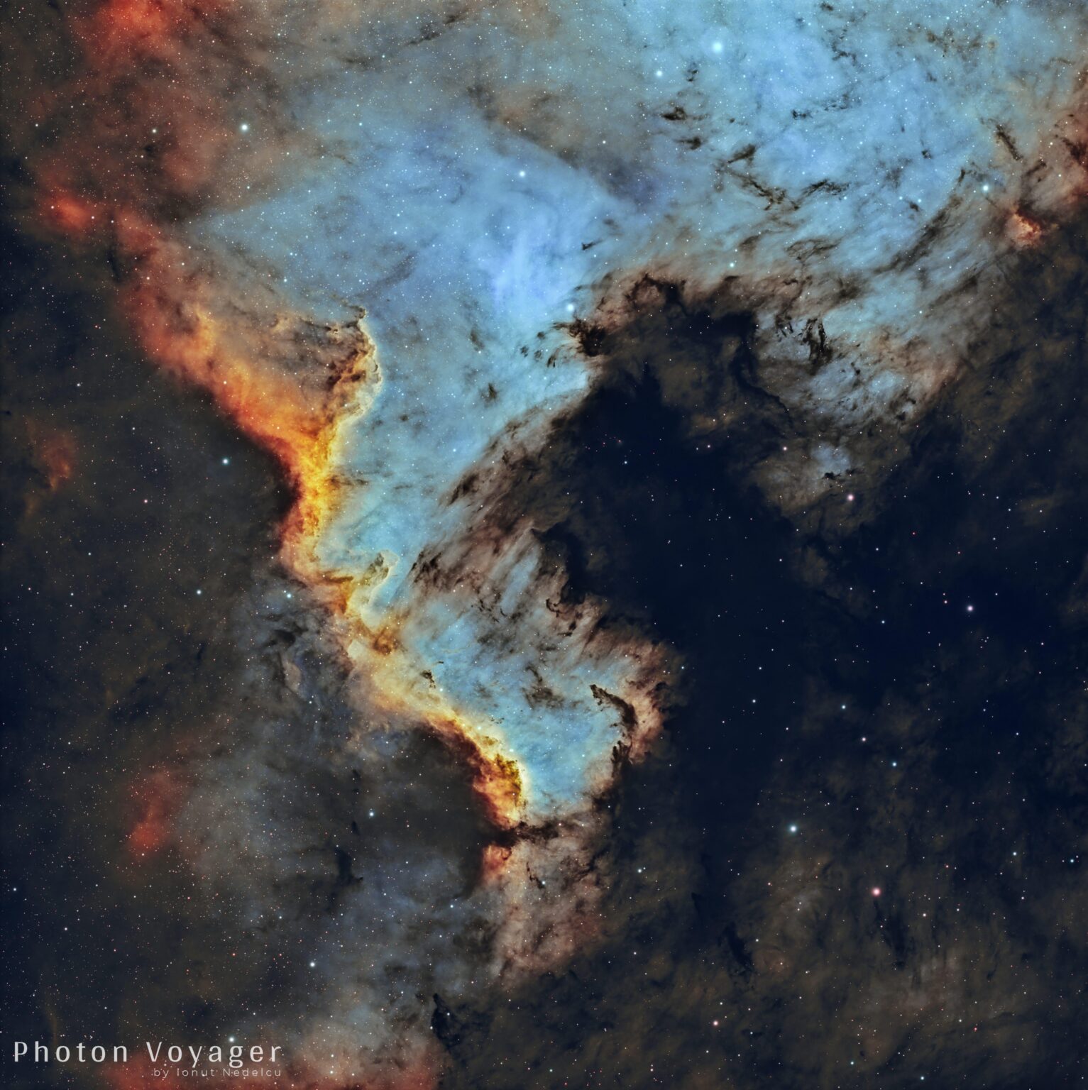 NGC 7000 – The Wall of the North America Nebula