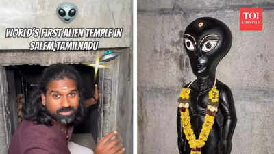 Internet baffled as Tamil Nadu man builds temple for an Alien God with an 11-foot underground idol
