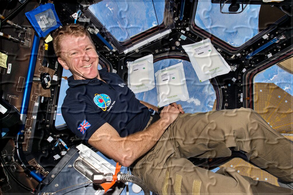 The UK space funding jigsaw puzzle